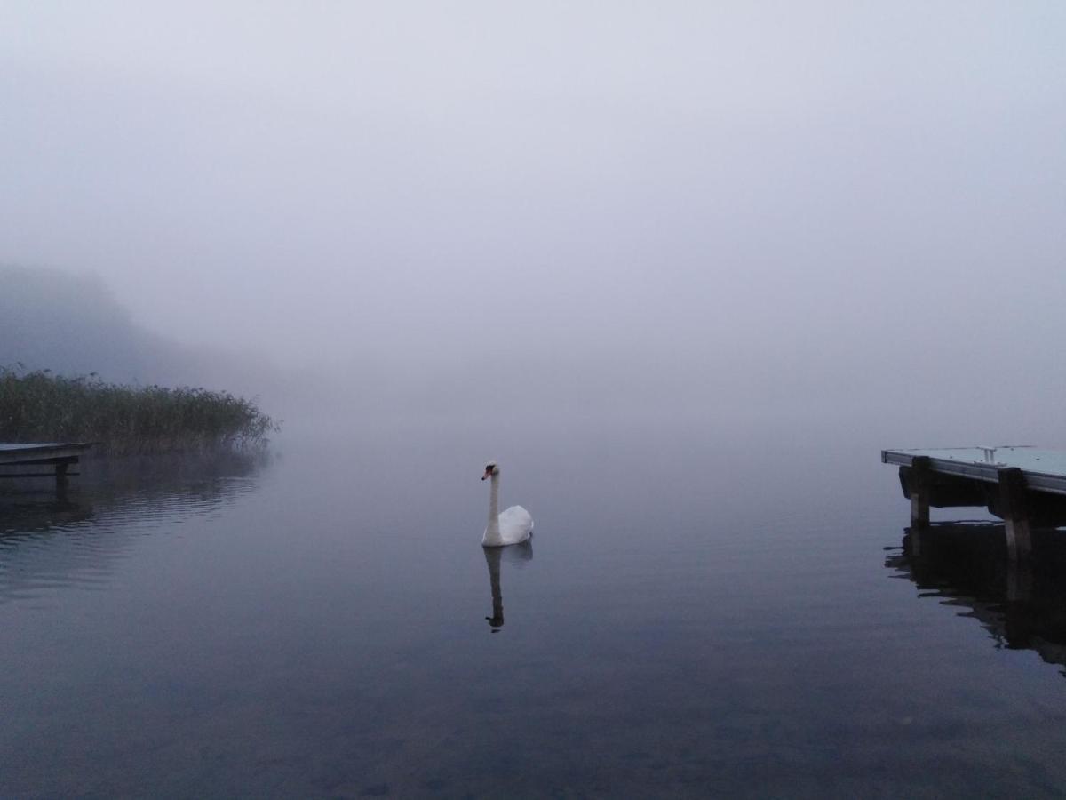 Alte Schule Am See Biskupiec  Eksteriør billede