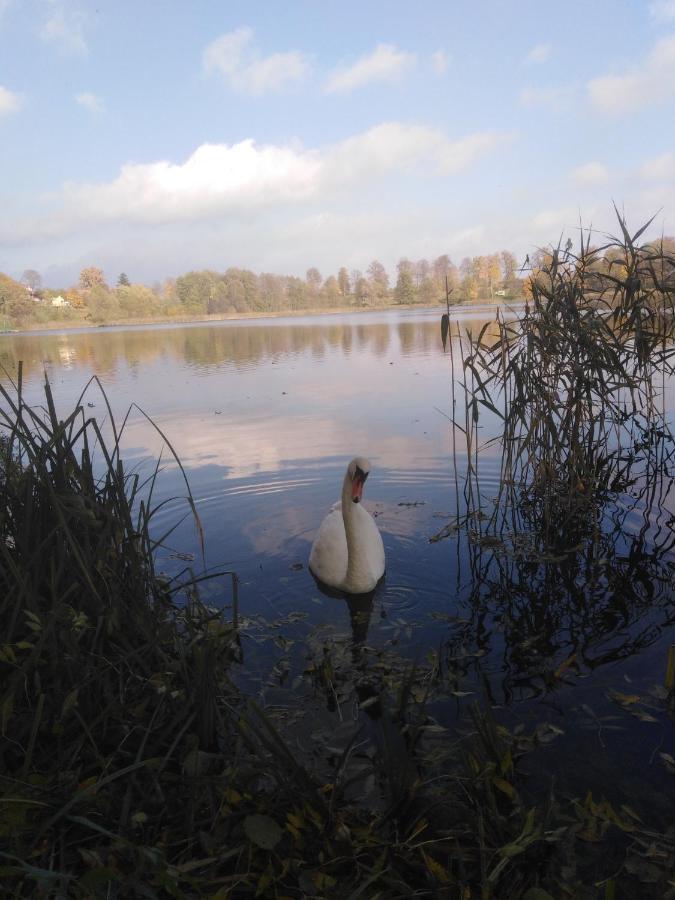 Alte Schule Am See Biskupiec  Eksteriør billede