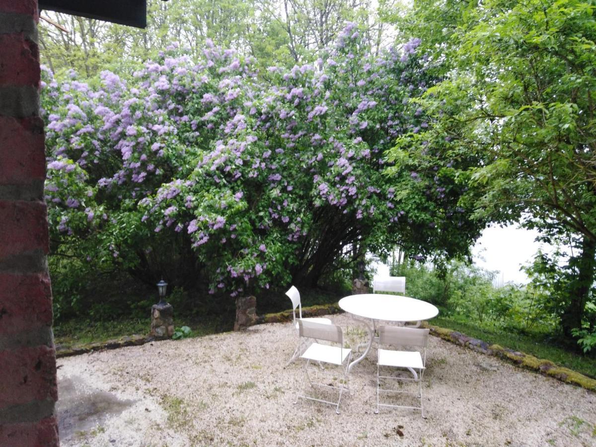 Alte Schule Am See Biskupiec  Eksteriør billede